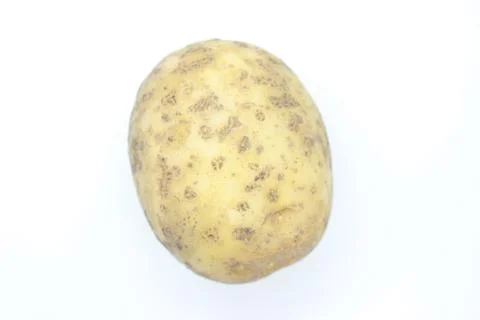 Potato tuber perched on a white background Stock Photos
