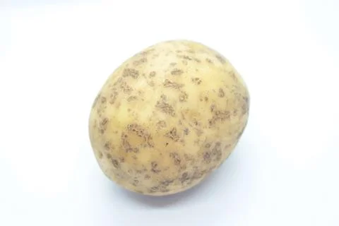 Potato tuber perched on a white background Stock Photos