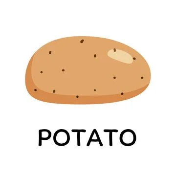 Potato, vector illustration in cartoon flat stye. Food and vegetable concept Stock Illustration