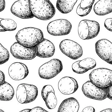 Potato vector seamless pattern. Hand drawn food background. Stock Illustration