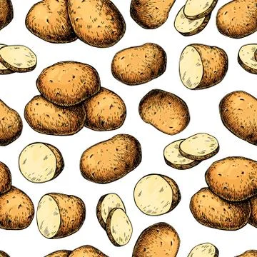 Potato vector seamless pattern. Hand drawn food background. Drawing Stock Illustration