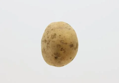 Potato vegetable fruit on an isolated background. Stock Photos