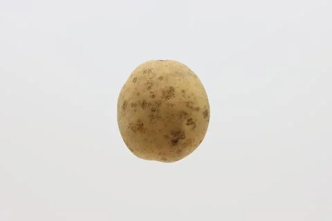 Potato vegetable fruit on an isolated background. Stock Photos