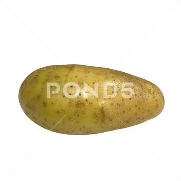 Potato on a white background-02 PSD Template