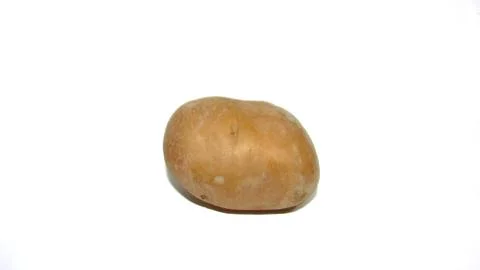 Potato on white background Stock Photos