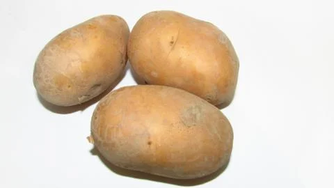 Potato on white background Stock Photos
