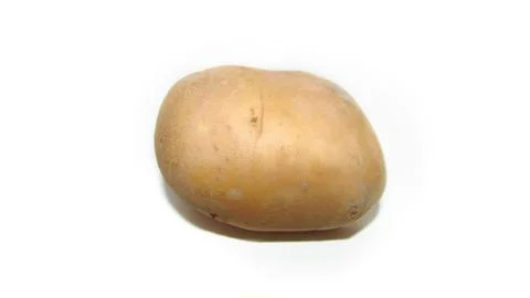 Potato on white background Stock Photos