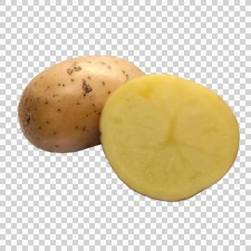 Potato on white background Stock Photos