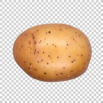 Potato on white background Stock Photos