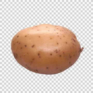 Potato on white background Stock Photos