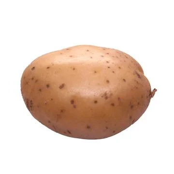Potato on white background Stock Photos