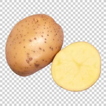 Potato on white background Stock Photos