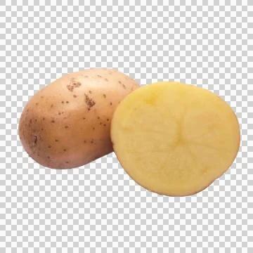 Potato on white background Stock Photos