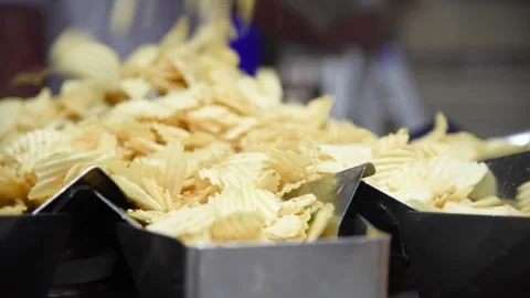 PotatoChipFactoryHD09 Stock Footage 168364041