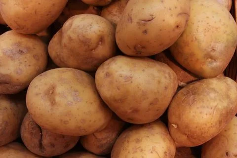 Potatoe background Stock Photos