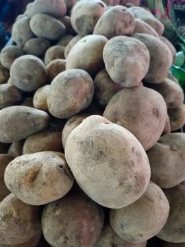 Potatoe vegetables Stock Photos