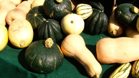 Potatoes and squash Stock Footage 108554884