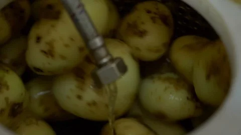Potatoes are cleaned in a machine for cleaning vegetables. Stock Footage 89608961