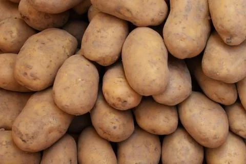 Potatoes background Stock-Fotos