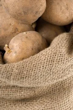 Potatoes in a bag Stock Photos