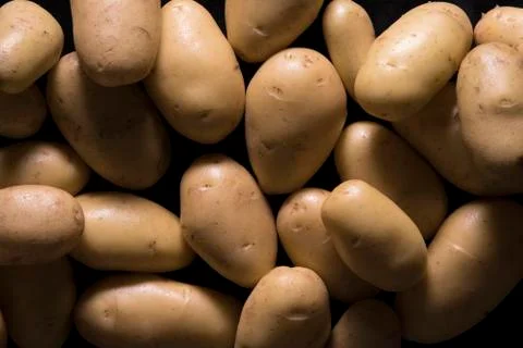 Potatoes on black background Stock Photos