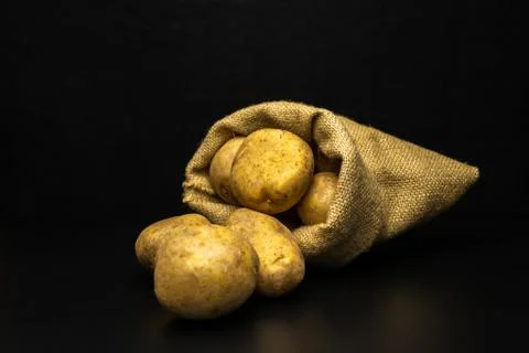 Potatoes on a black background Stock Photos