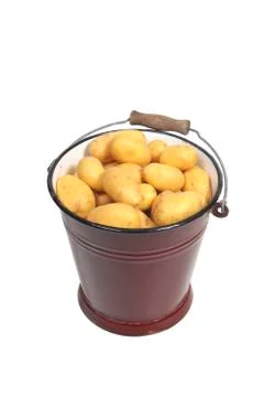 Potatoes in a bucket Stock Photos