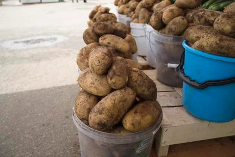 Potatoes in buckets Stock Photos