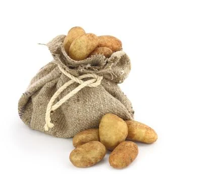 Potatoes in a burlap sack Stock Photos