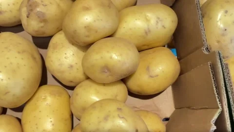 Potatoes in cardboard boxes Stock Footage 314223966