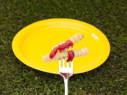 Potatoes with catsup on a fork Stock Photos