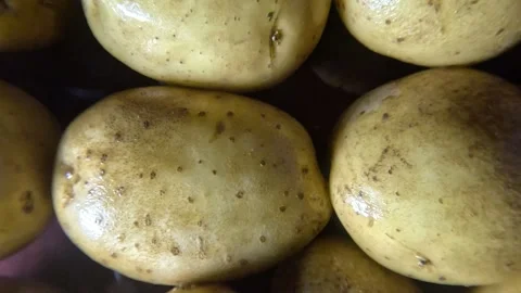 Potatoes Close up Shot - Leftwards Video stock 282046326