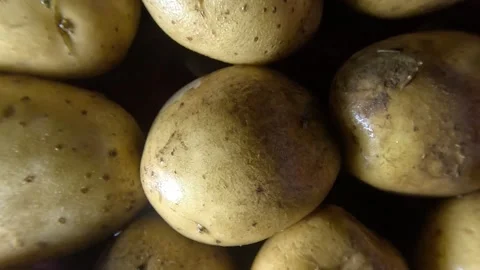 Potatoes Close up Shot - Rightwards Stock Footage 282046152