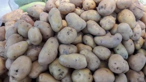 Potatoes for cooking Stock Photos