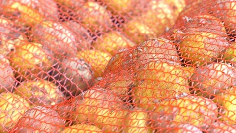 Potatoes on the counter in the store. 库存影片 346407926