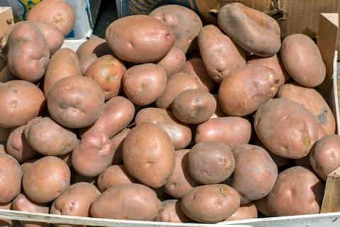 Potatoes in a crate Stock Photos