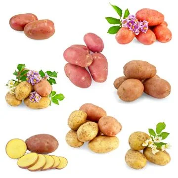 Potatoes different set Stock Photos