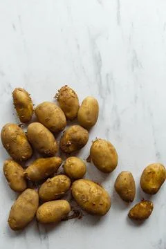 Potatoes different varieties. Stock Photos