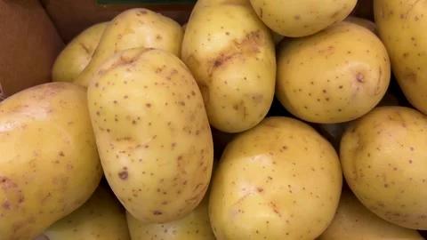 Potatoes displayed in cardboard crates Stock Footage 288711998