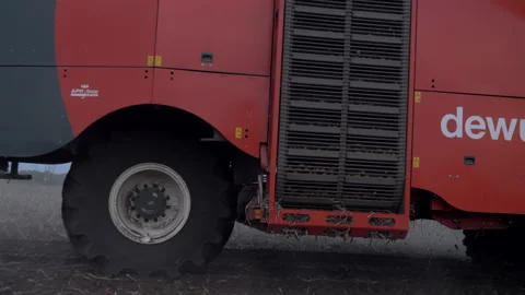 Potatoes fall into the combine Stock Footage 141798313