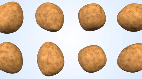 Potatoes Falling on a Light Blue Background. Procedular Textured Potato. 4K Stock Footage 303203077