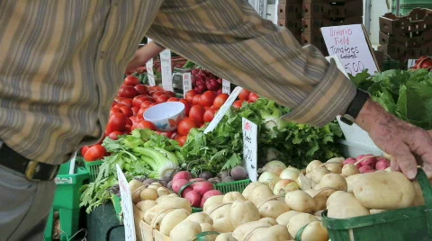 Potatoes Stock Footage 788314