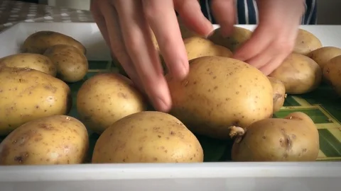 Potatoes Stock Footage 88658070