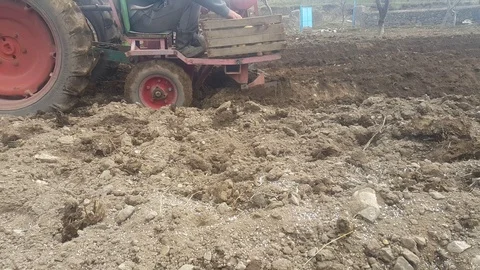 Potatoes Stock Footage 106575397