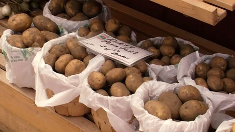 Potatoes Stock Footage 108554608