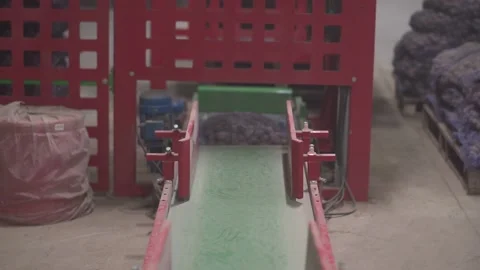 Potatoes go on the conveyor Stock Footage 159897411