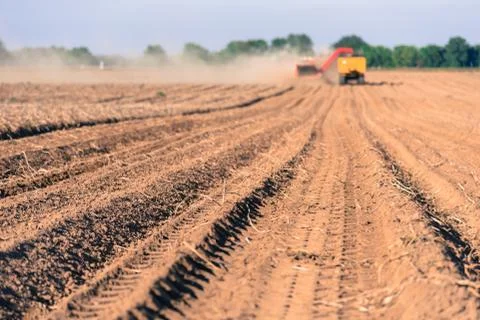 Potatoes harvering Stock Photos