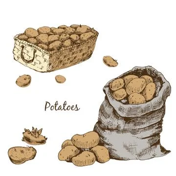 Potatoes Illustrazione stock