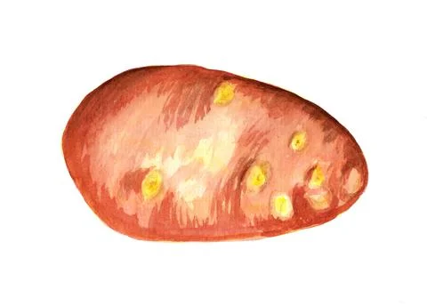 Potatoes Stock Illustration