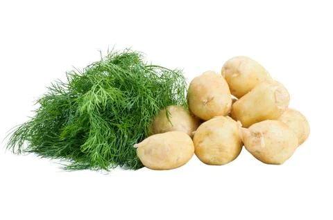 Potatoes isolated on white Stock Photos